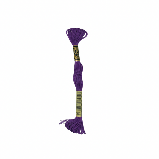 DMC 6 Strand Floss #3837