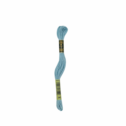 DMC 6 Strand Floss #3841