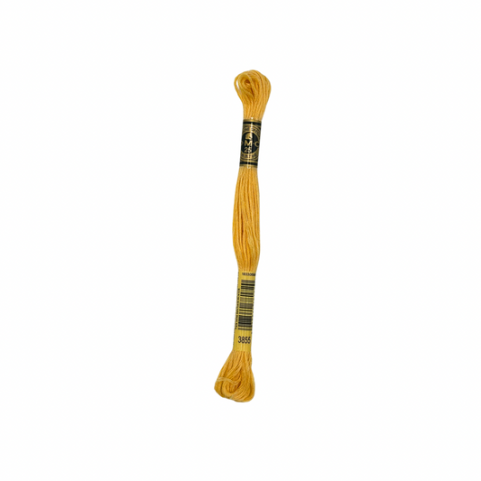 DMC 6 Strand Floss #3855