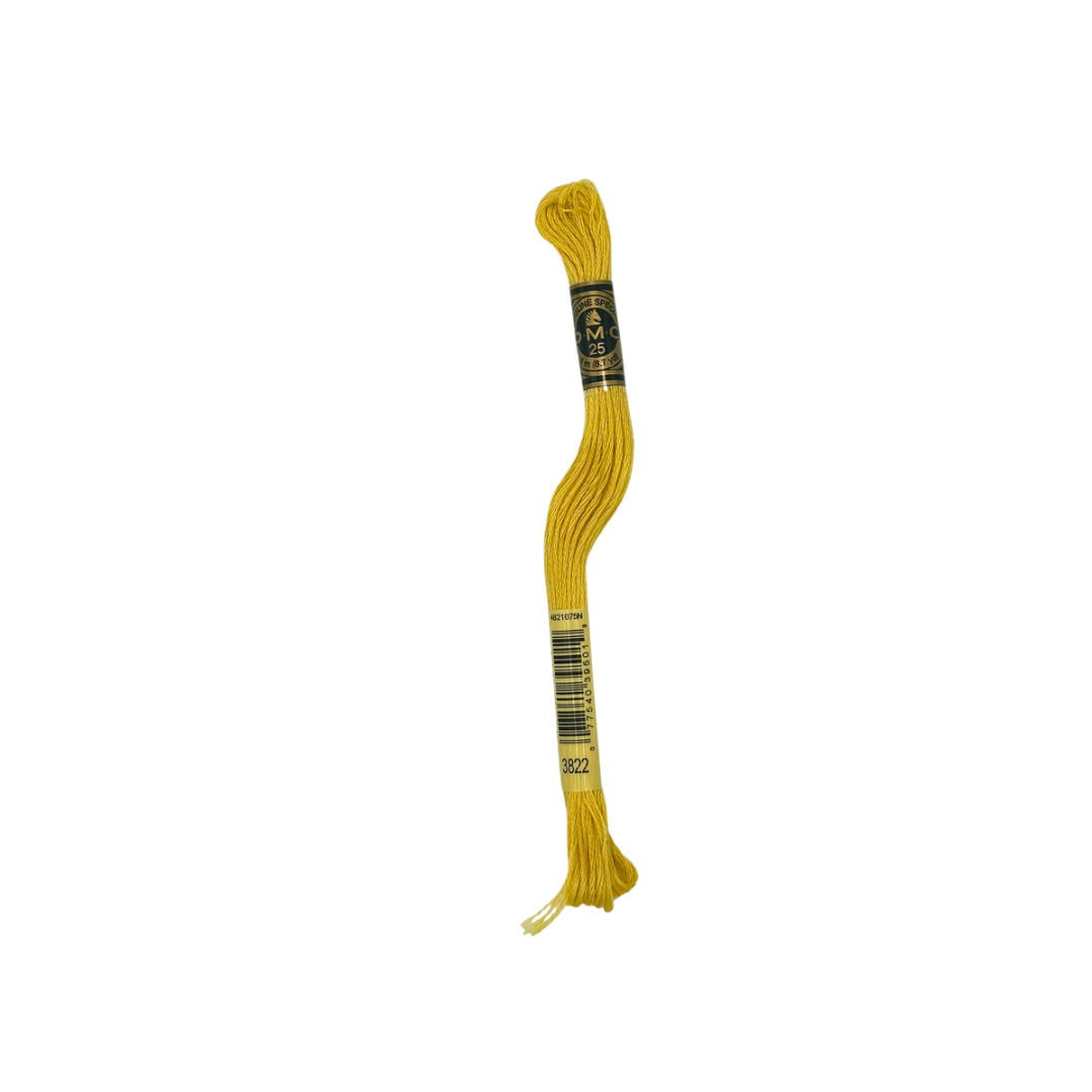 DMC 6 Strand Floss #3822