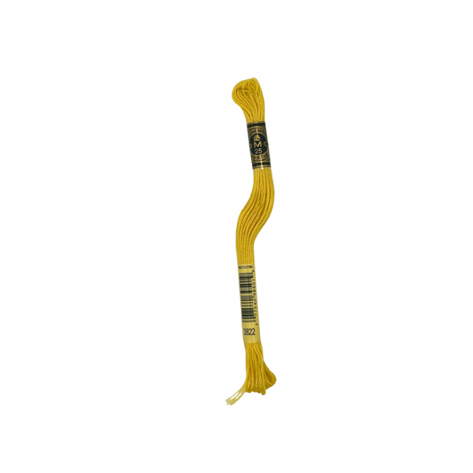 DMC 6 Strand Floss #3822