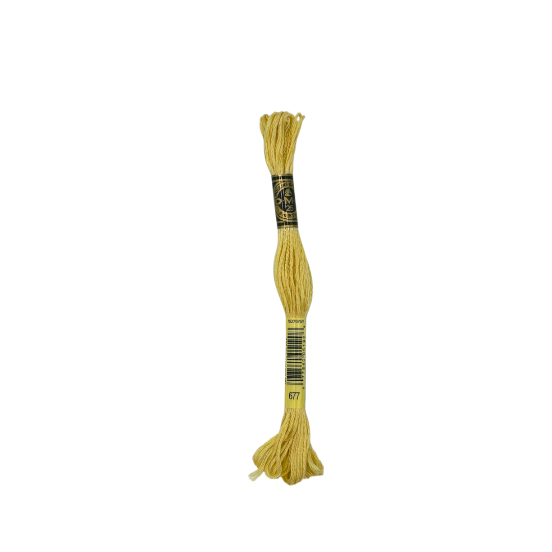 DMC 6 Strand Floss #677