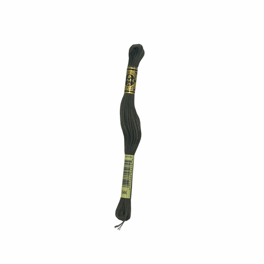 DMC 6 Strand Floss #844
