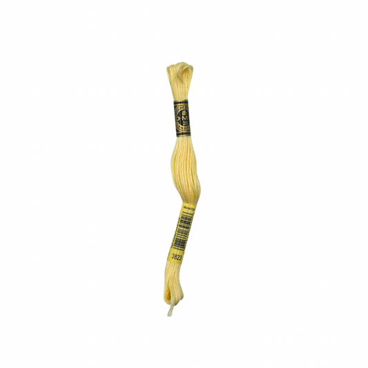 DMC 6 Strand Floss #3823