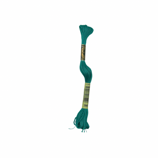 DMC 6 Strand Floss #3848