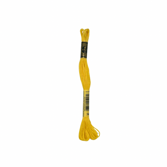 DMC 6 Strand Floss #744