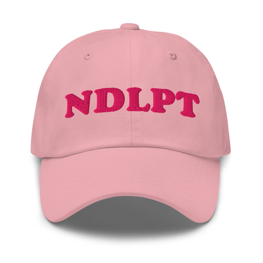 NDLPT Baseball Hat