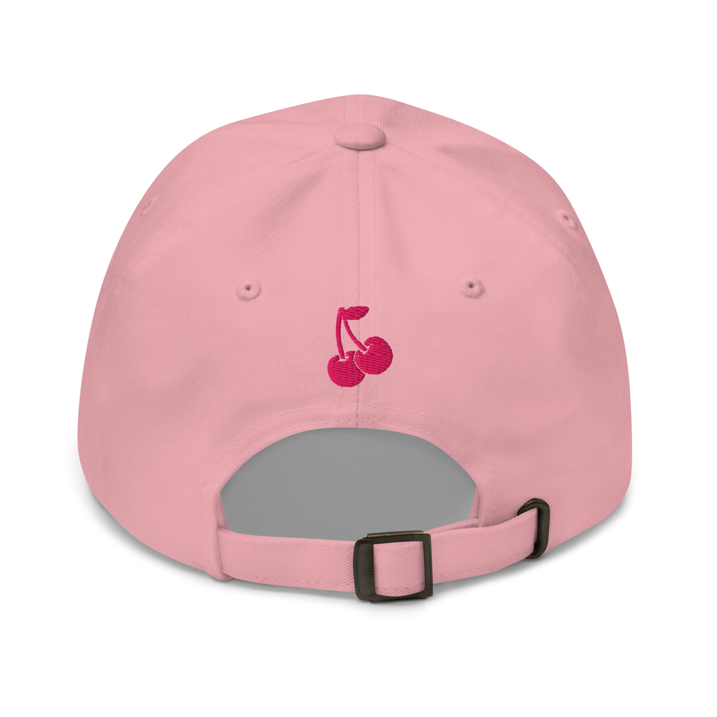 NDLPT Baseball Hat